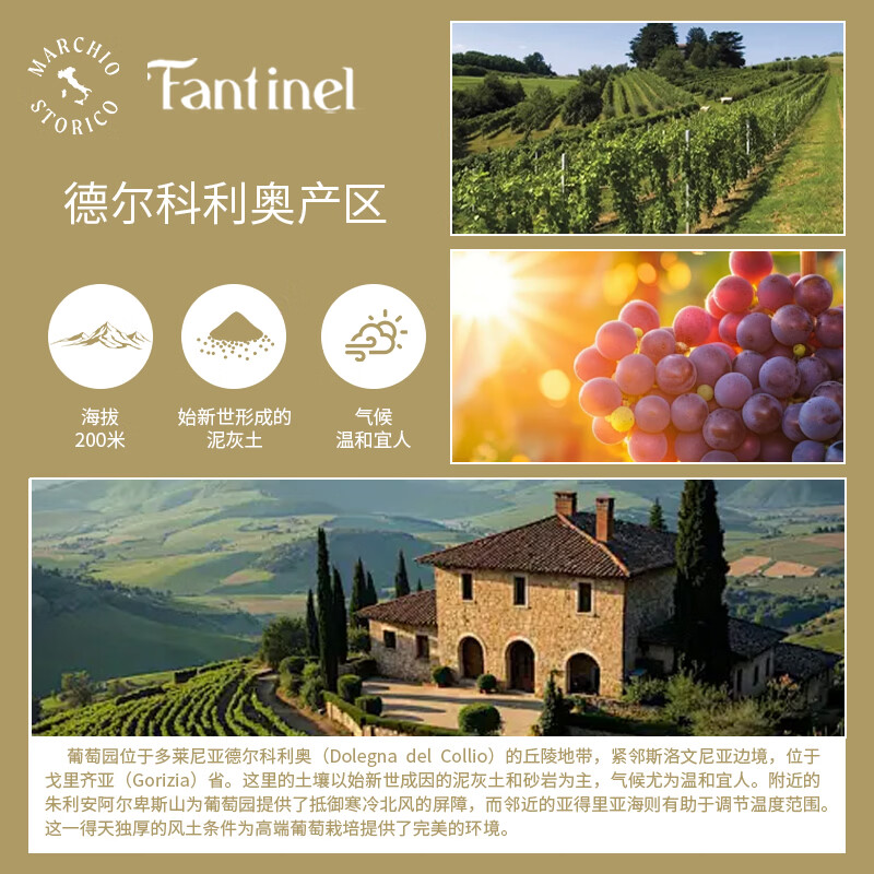 FANTINEL意大利进口龙铠福斯科梅洛干红葡萄酒 750ml红酒礼物 产区原装 龙铠福斯科梅洛干红葡萄酒 750ml/6瓶