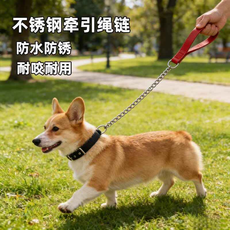 斯派科铁链狗绳狗狗不锈钢牵引绳防咬遛狗绳小中大型犬铁绳拴狗耐用套装 不锈钢链(1.5米直径3.0mm)+黑色项圈L码[18-35斤】