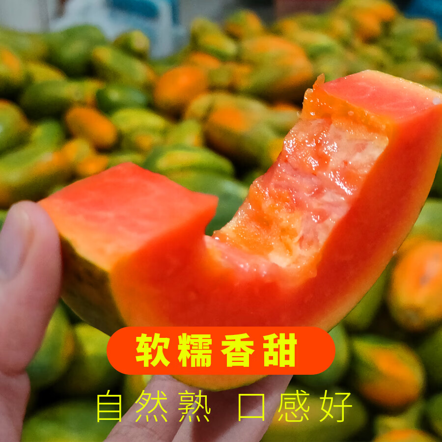 川粤蓉姐正宗雷州冰糖心红心木瓜 精品果 新鲜现摘 软糯香甜 当季水果 精品果净重4.6-5斤 2-4个装【家庭装】
