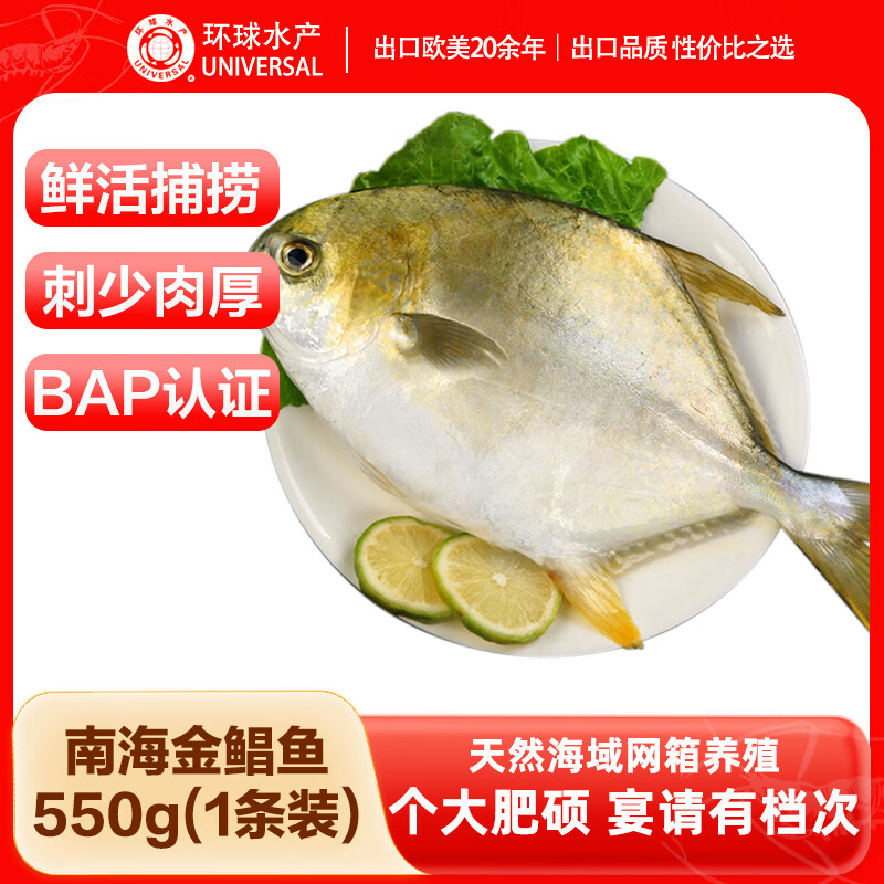 环球水产南海大号金鲳鱼550g1条海鱼生鲜鱼类火锅烧烤海鲜