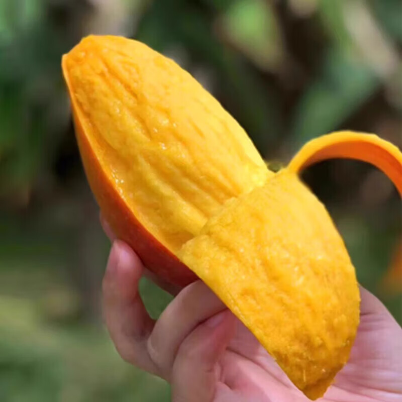 鲜宝道海南贵妃芒果新鲜热带应季水果 当季甜心 4斤贵妃芒单果100-200克净重4斤