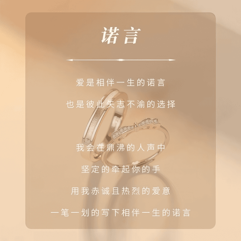 JIUZUANCAI999足银诺言情侣对戒指指环轻奢高级感情人节520生日礼物纯银饰品 【诺言】男女一对【品牌官方礼盒+999证书】