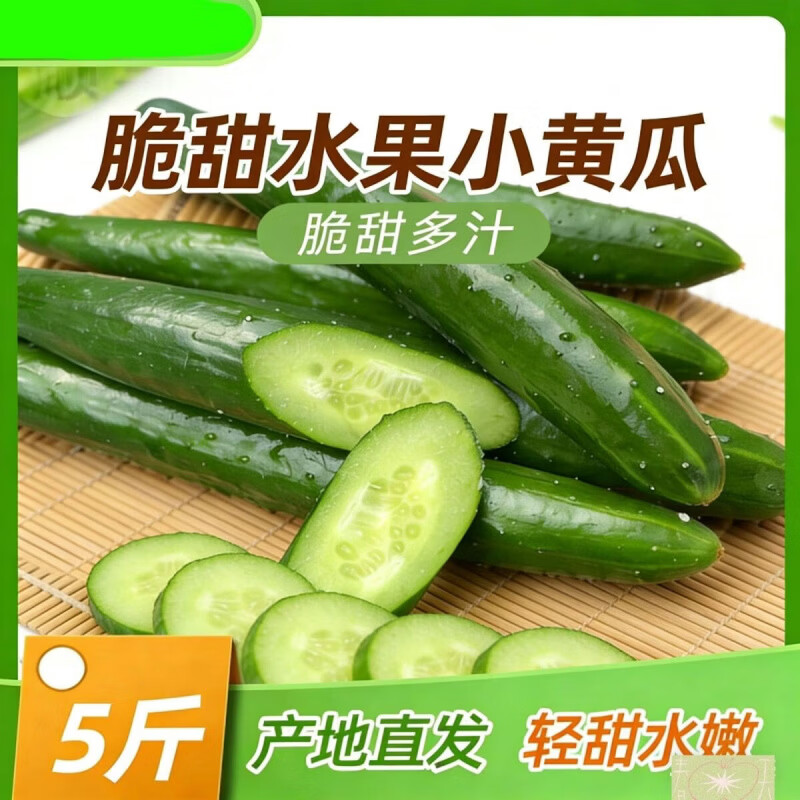 精选水果当季黄瓜农家应季现摘蔬菜新鲜水果黄瓜爽口绿心脆甜减脂 现摘精选品质 5斤 净重