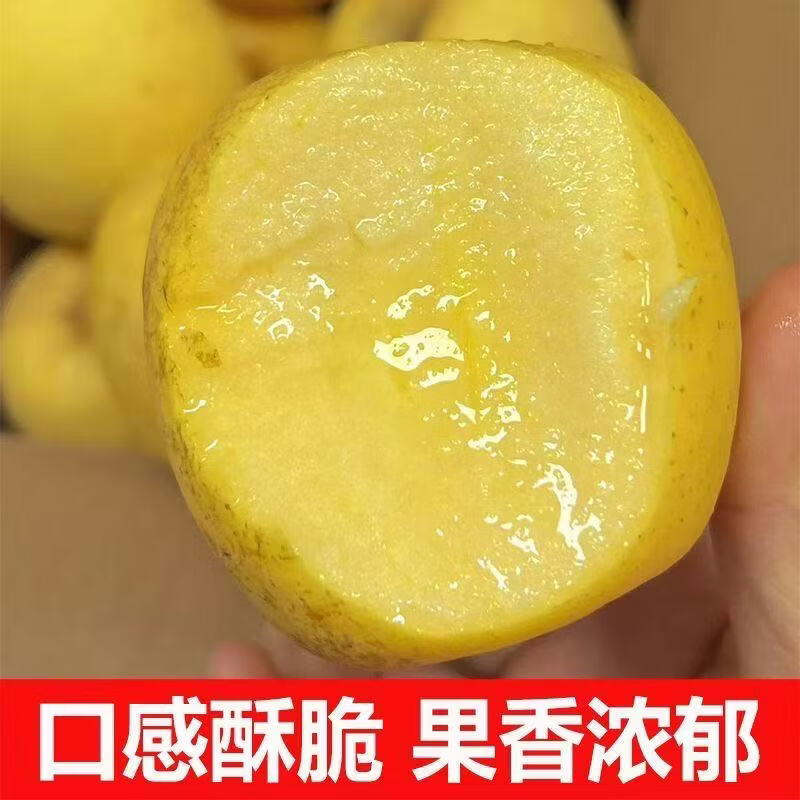 华北强（HUABEIQIANG）正宗奶油富士苹果水果维纳斯苹果新鲜脆甜多汁黄金水果苹果整箱 净重4.5斤单果75-80mm