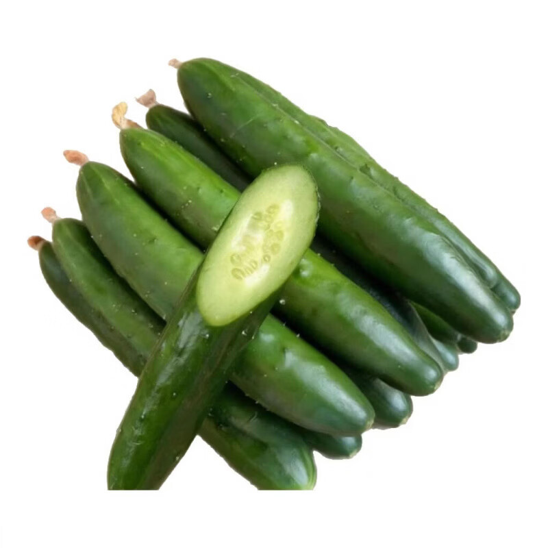 精选水果当季黄瓜农家应季现摘蔬菜新鲜水果黄瓜爽口绿心脆甜减脂 现摘精选品质 5斤 净重