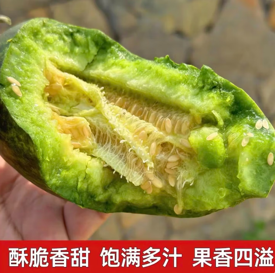 佑嘉木头茬现摘应季金冠香瓜冰糖金冠甜瓜新鲜脆甜多汁脆瓜整箱水果 净重4.5斤