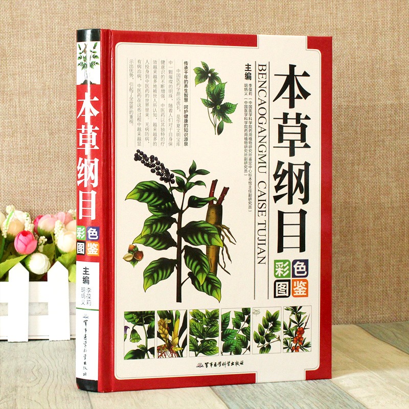 本草纲目彩色图鉴 彩图版图解中草药中药材图谱 手绘图精选300余种