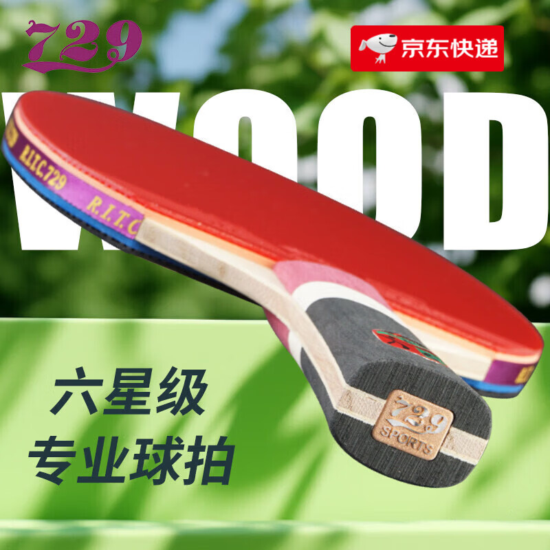 729友谊乒乓球拍级大师兵乓球拍单拍双反胶直拍横拍 大师六星（短柄）++10个球+2个保护膜+1个 直拍