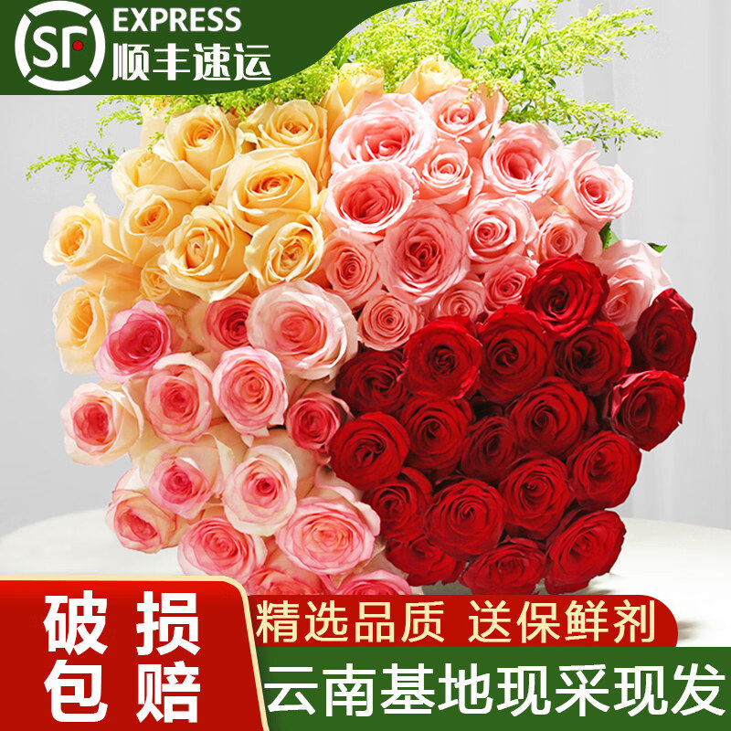 云南昆明鲜花基地直发红玫瑰花水养百合花鲜切花材顺丰冷链包邮 随机单色玫瑰10只