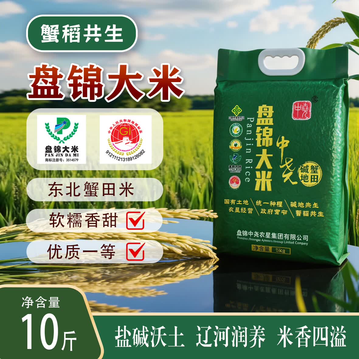 洼米盘锦蟹田大米10斤装碱地东北大米新米真空500g家庭装大米产地直发 盘锦蟹田大米1斤【真空尝鲜装】