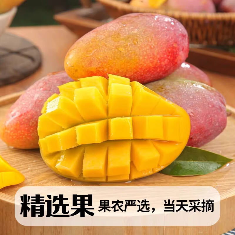 麦知鲜正宗海南贵妃芒新鲜树上熟【多地隔日达】皮薄多汁时令水果大芒果 5斤【香甜爆汁-手挑果|单果100-150克】净重4.5斤