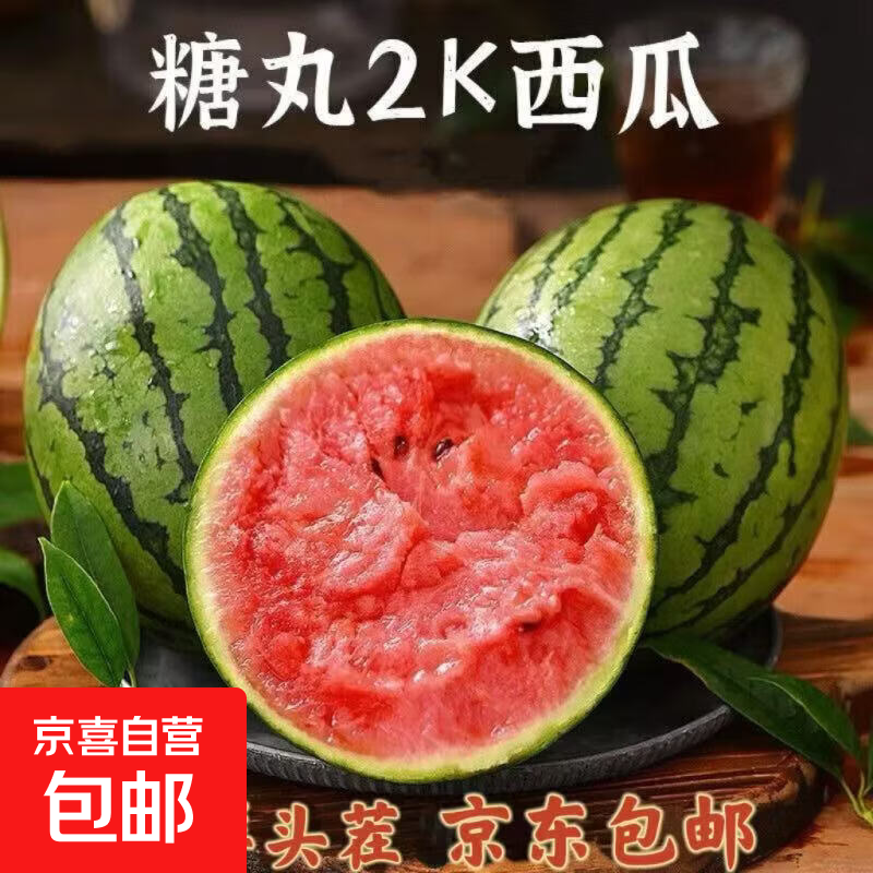【现摘现发】正宗2k小糖丸西瓜爆甜薄皮西瓜薄皮小吊瓜京东包邮 净果1-1.5斤装（1-2粒）