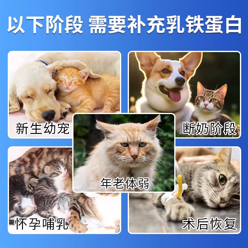 奶叽喵乳铁蛋白胶囊猫狗通用高纯度草本植萃提高免疫补充营养幼猫幼犬 1瓶 初次尝鲜装