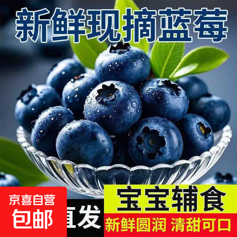 产自云南蓝莓鲜果大果 新鲜当季高山甜蓝梅孕妇水果整箱 6盒 大果 15mm+丨单盒净100g丨当天现摘