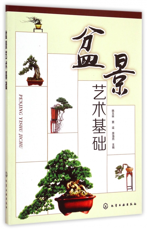 盆景艺术基础