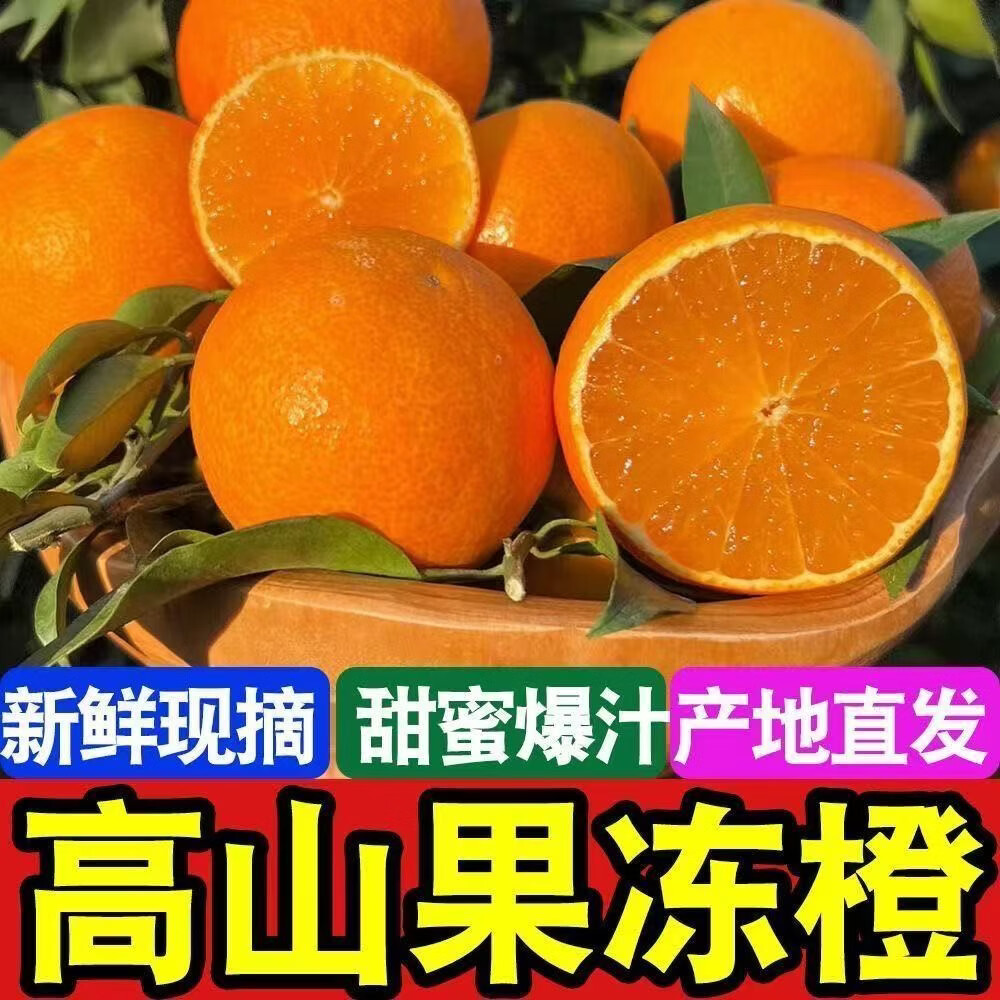 春公子四川青见果冻橙子应季新鲜水果手剥橙子孕妇手剥橙 带箱3斤【精品特大果80-85mm】 正宗四川青见果冻橙