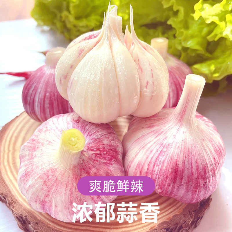 紫白皮大蒜当季蔬菜调料调味大蒜头 紫白皮新蒜2斤