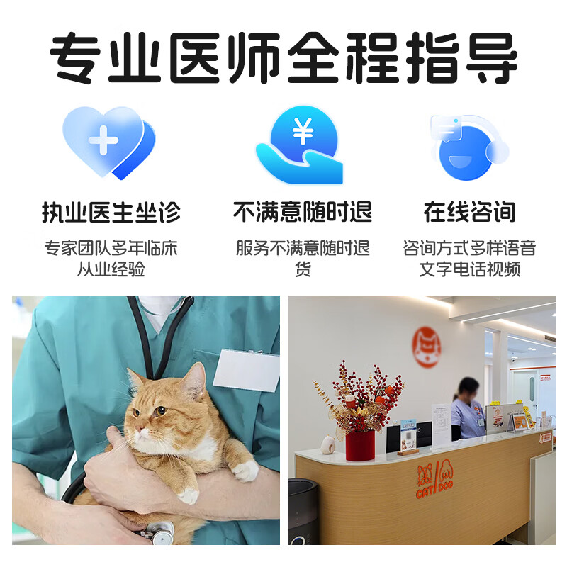 (空运 次日达)44I猫腹传针剂油剂水剂湿性干性腹水腹膜炎口服片剂 加强片剂【四公斤】 12片*1盒