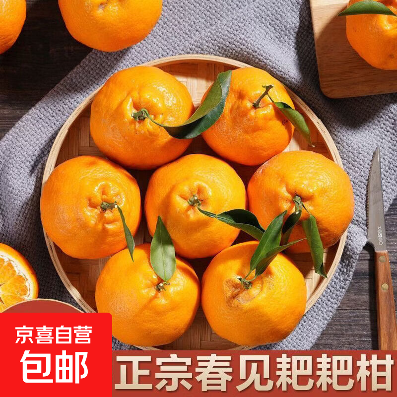 京配 甄选年货-四川春见耙耙柑  新鲜柑橘桔子 应季水果礼盒 带箱2斤小果（130g-160g）净重1.8斤【尝鲜版】 JDL-京东快递、更好更快