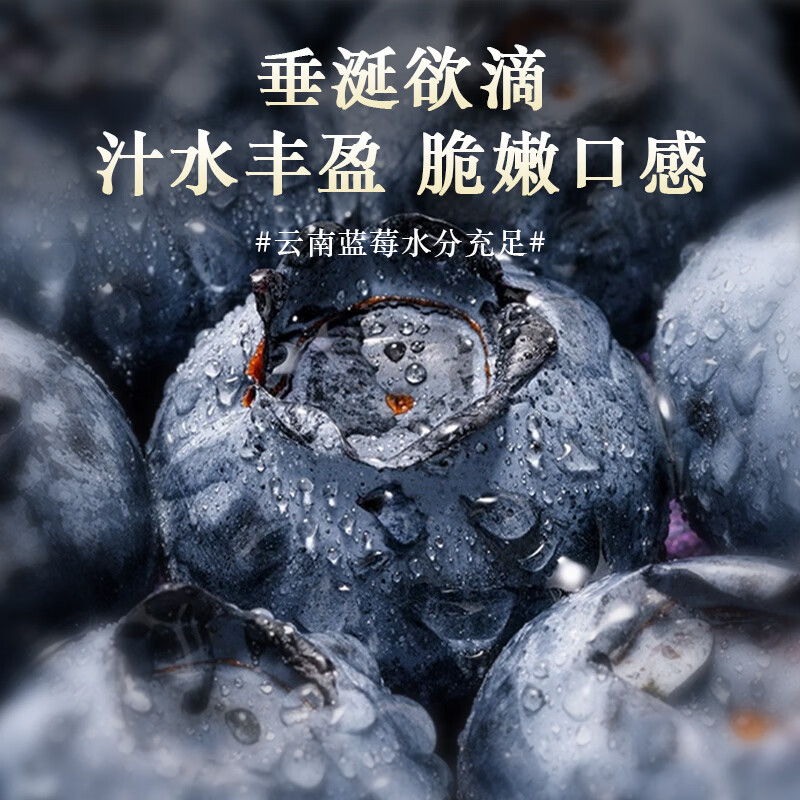硕莓遂禧正宗云南蓝莓 新鲜水果应季现摘 8盒装*100g 单果12mm+