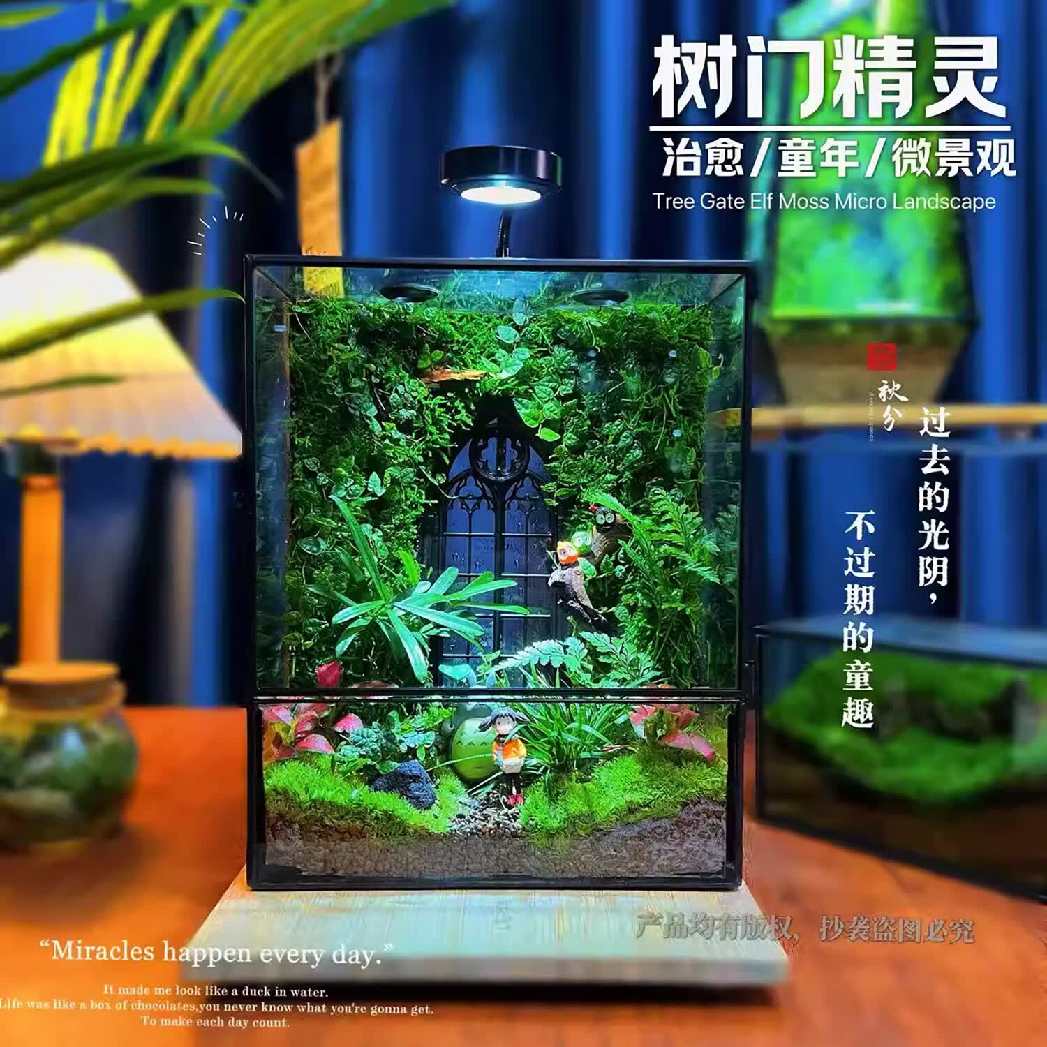 封茗网红趣味桌面绿植摆件苔藓微景观生态缸懒人养护生态闷养盒创意 精灵旅馆】升级版+植物灯