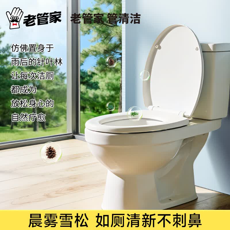 老管家洁厕灵厕所马桶清洁剂净白洁厕啫喱强力除垢除臭清香型除臭去异味 500g 2瓶