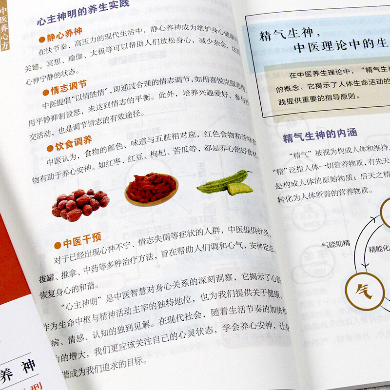 御纂医宗金鉴：伤寒杂病心法要诀     中医养心方 【单本】中医养心方
