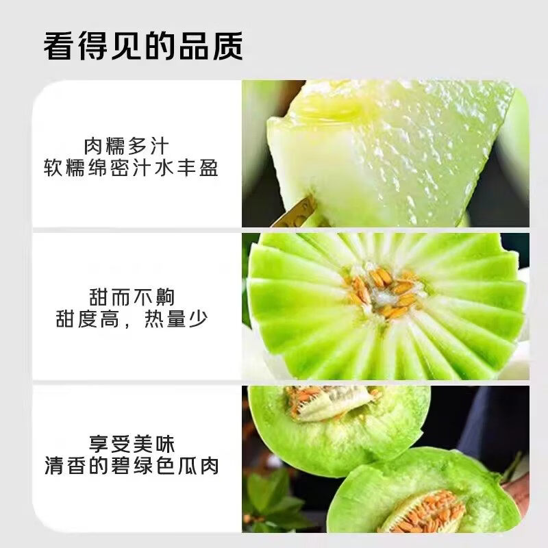 海南玉菇甜瓜新鲜水果应当季【软糯多汁】正宗现摘好吃多汁香甜蜜 5斤首选果 1-3个净重4.5斤