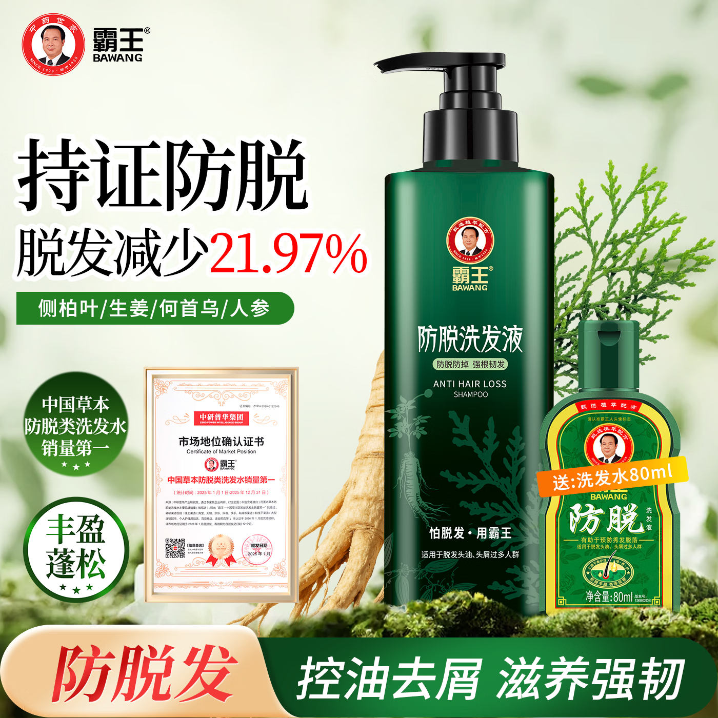 霸王防脱洗发水侧柏叶控油去屑强韧秀发洗发露洗沐洗护套装 防脱洗发水500ml