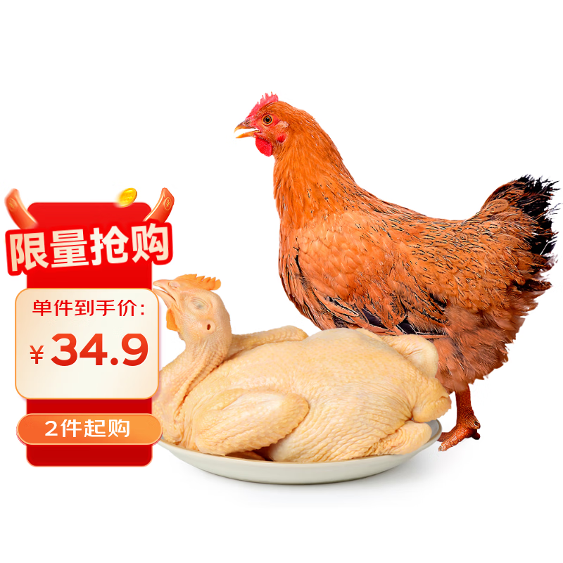 温氏供港黄油鸡2.4斤 冷冻 农家土鸡母鸡走地鸡 散养110天 炸鸡白切