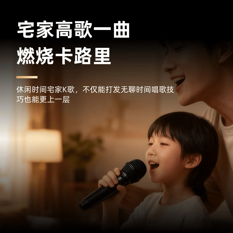 YY SOUND 有线麦克风无线麦克风动圈麦克风吉他弹唱K歌唱歌户外音响会议舞台话筒 【动圈麦克风】SYJ-M16
