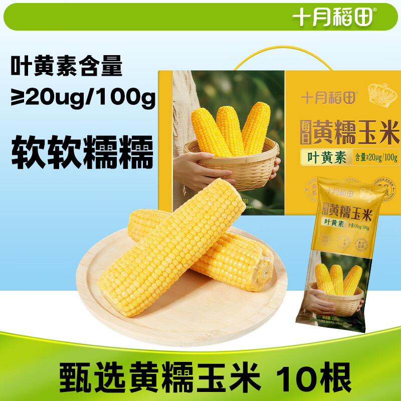 十月稻田 黄甜糯玉米 10根 4.4斤 东北甜黏玉米棒 杂粮礼盒 早餐苞米