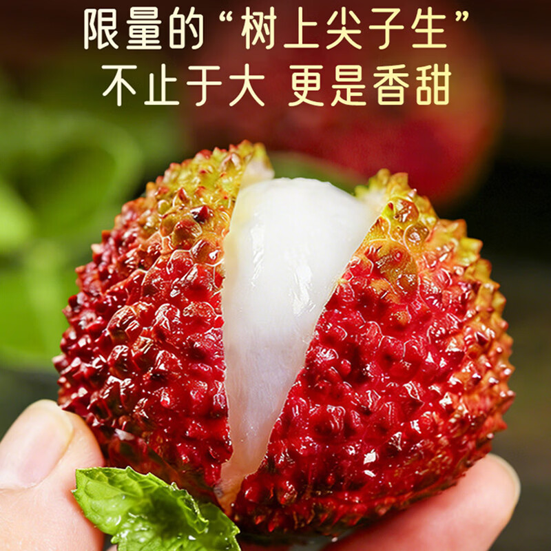机林有果【顺丰空运】海南妃子笑荔枝新鲜孕妇水果礼盒当季整箱现摘 顺丰空运【空运快人一步】 超高回购 5斤大果【单果20-30g】