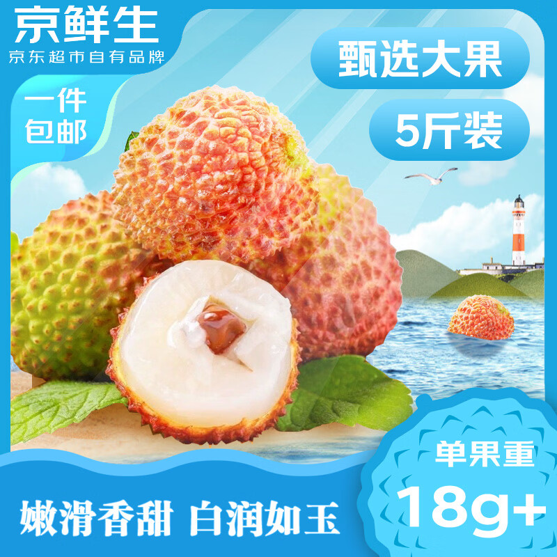 京鲜生海南妃子笑荔枝净重5斤装 单果18g+ 新鲜水果 包邮