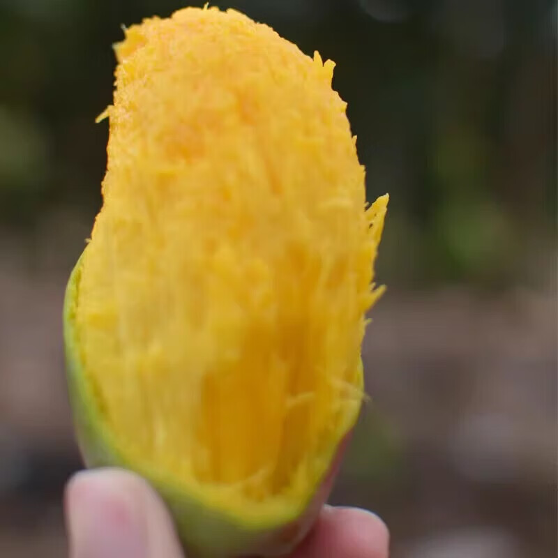 鲜宝道海南贵妃芒果新鲜热带应季水果 当季甜心 4斤贵妃芒单果100-200克净重4斤