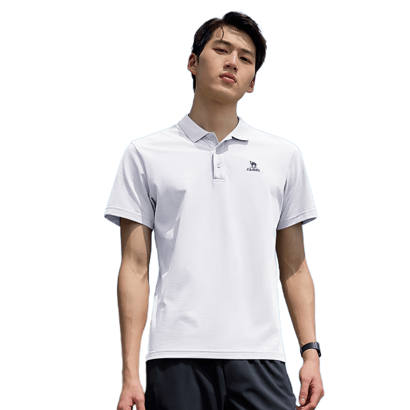 ���գ�CAMEL���˶��ٸ�polo���з������ж���t������ C16BAXLN034 �޼ʰ� L 89Ԫ