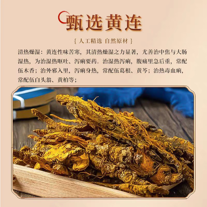 【地狱级苦味】四川老川黄连 三颗针清心火圣品 熬夜上火党必备 地狱苦川连 500g*1包