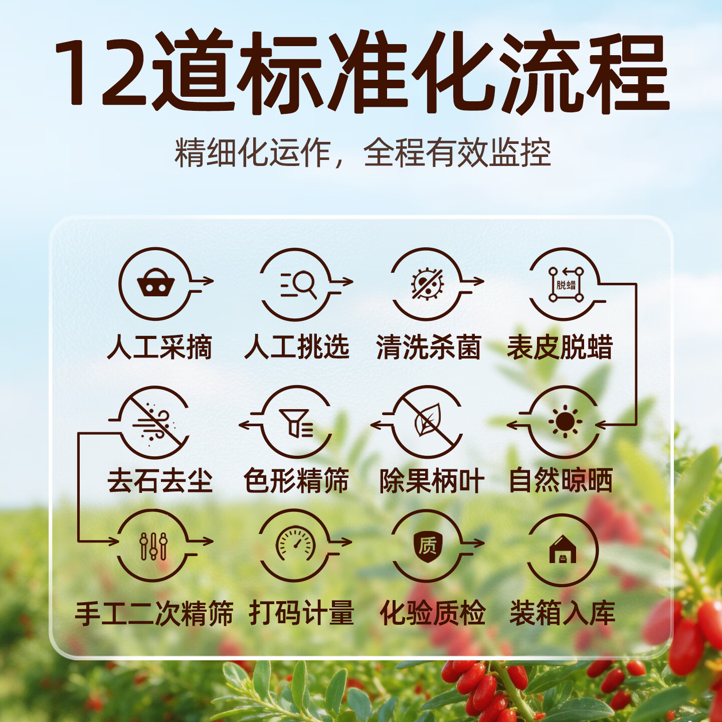 固滋方国药药材 枸杞子500g宁夏特级正宗原产地新货 枸杞泡水喝专用免洗 【特优贡果】精品 250g*1罐