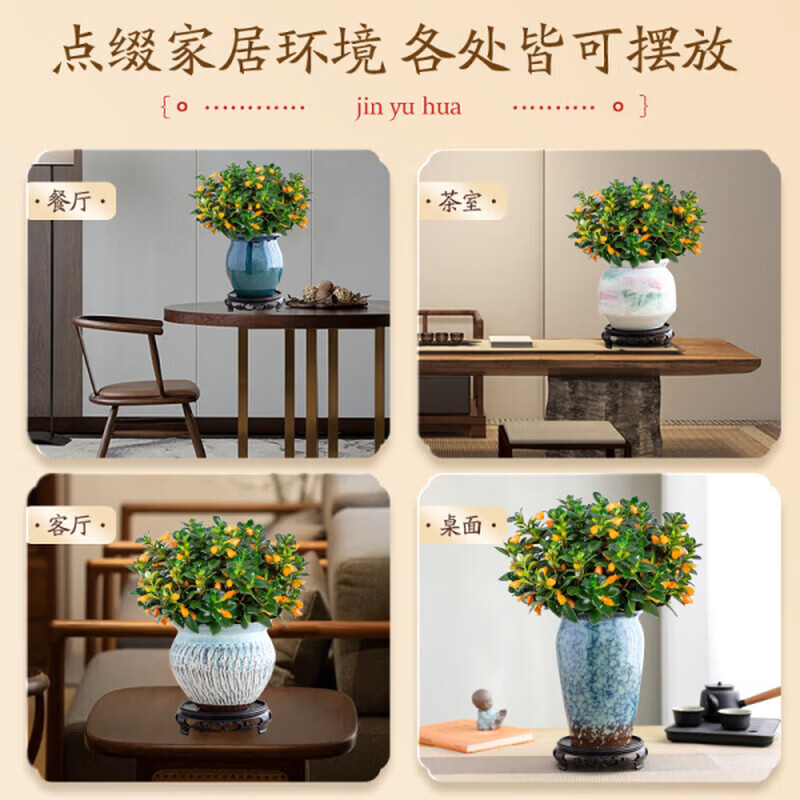 金鱼吊兰鱼花盆栽四季室内客厅阳台开花好养耐寒植物旺宅带花带盆 招财金鱼吊兰3盆【盆+原土肥料】