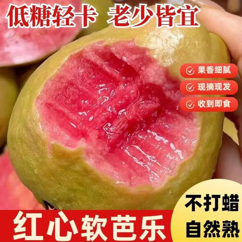 珍山辛农当季新鲜芭乐香糯软心低卡低热量轻食红白心双拼番石榴孕宝妈水果 白心奶油芭乐【产地推荐款】 5斤【家庭聚会款】