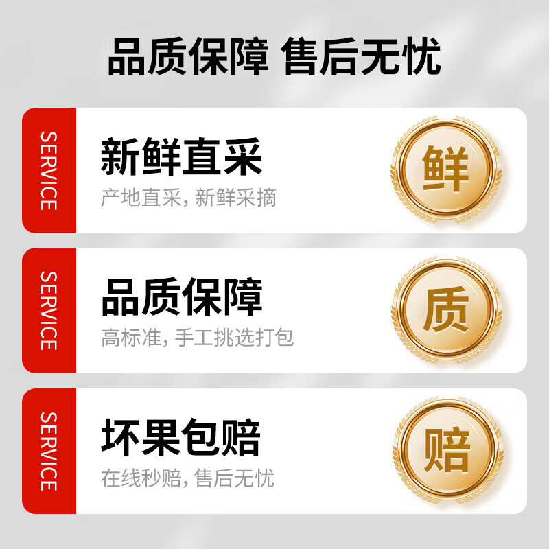 宗靖鲜云南花香蓝莓新鲜果【多地次日达】 孕妇应季国产水果礼品物盒 8盒装【单盒100-125g】 12mm+【尊选好果】