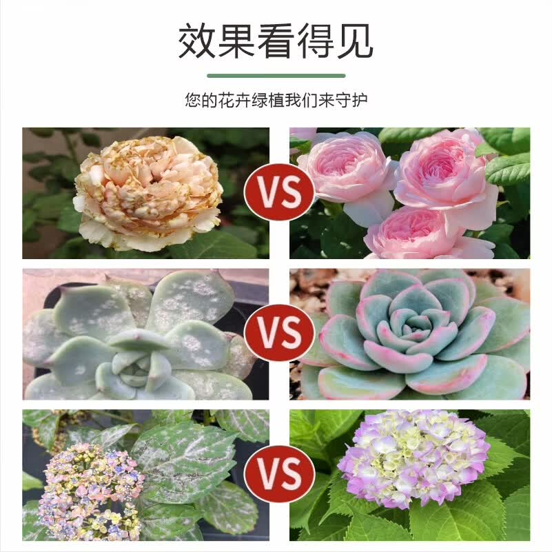 摩登农夫大白月季玫瑰菌虫净三合一食用香辛料提取原料幼宠超安全 500mL