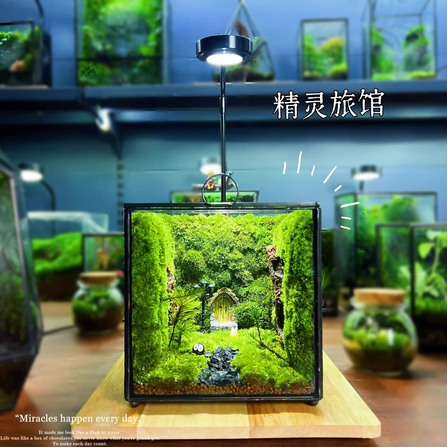 封茗网红趣味桌面绿植摆件苔藓微景观生态缸懒人养护生态闷养盒创意 精灵旅馆】升级版+植物灯