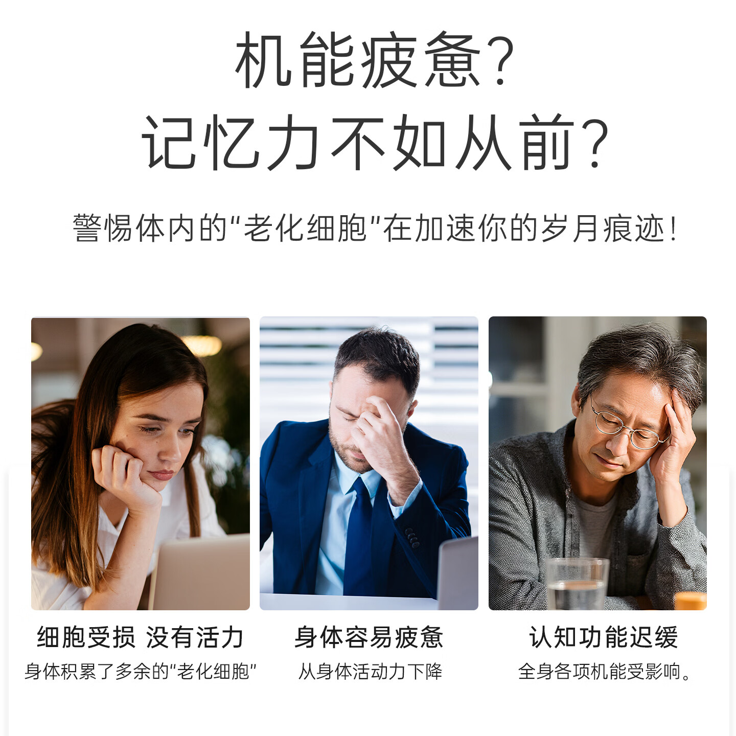 ARCWELL艾格維漆黄素胶囊99%高纯度强记忆抗衰抗氧化增强免疫促代谢进口 【老客优选|提升记忆力抗衰】 60粒*1瓶