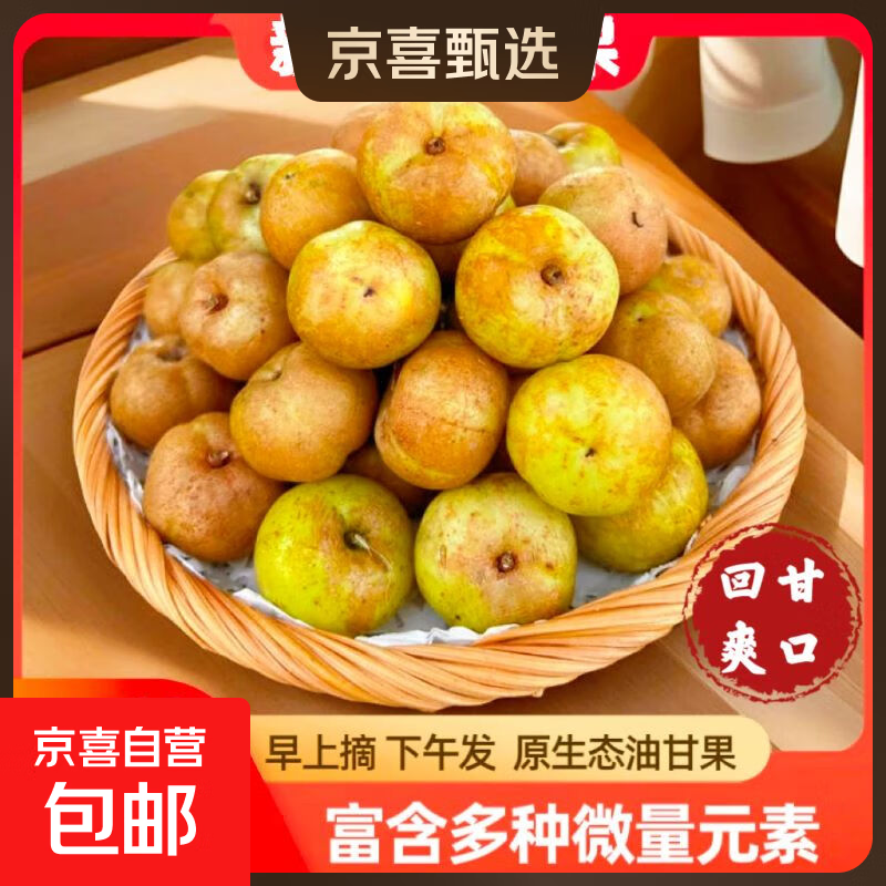 正宗潮汕油柑果油甘果回甘饼甜消食刮油新鲜水果减脂京东快递 2斤带箱（约90-130粒）