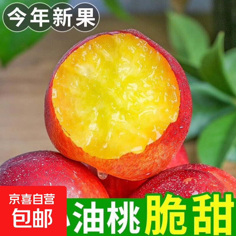 山东黄心油桃当季新鲜现摘孕妇水果黄肉脆甜多汁薄皮时令生鲜水果 山东油桃带箱1斤净重0.9斤(单果60g+)