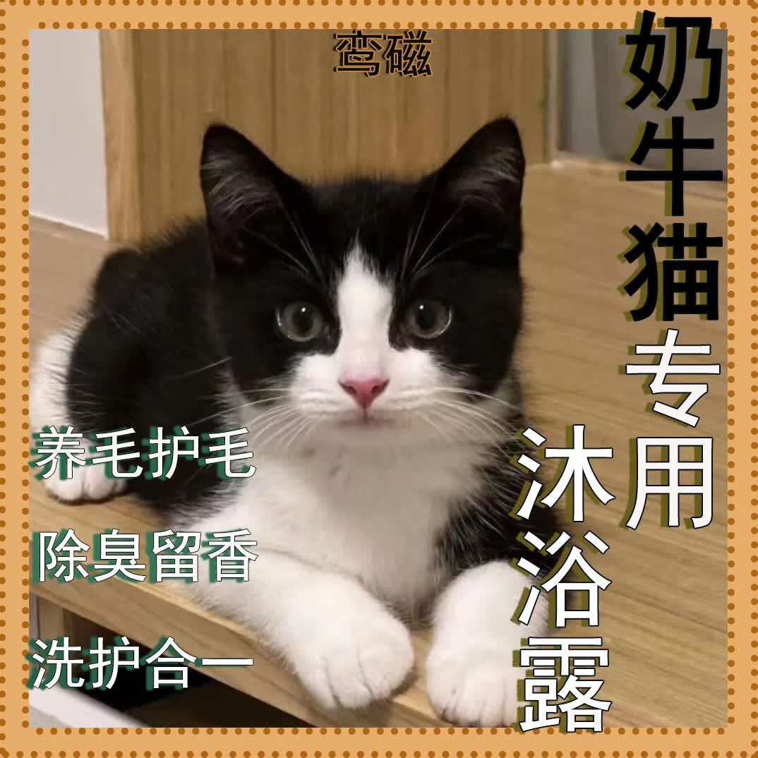 鸾磁奶牛猫专用沐浴露清洁除臭驱虫留香滋养去油亮毛润毛猫咪专用