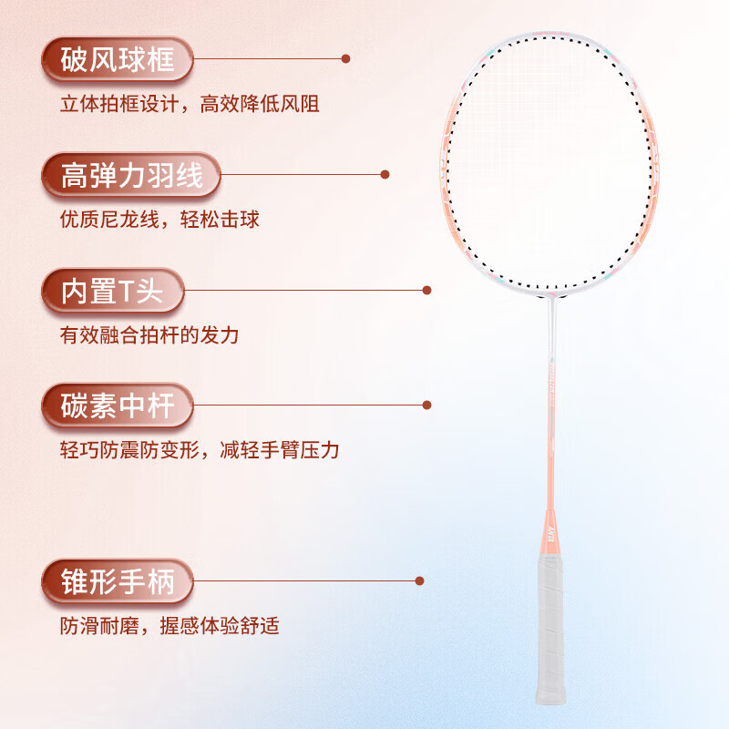 ANTA安踏(ANTA)羽毛球拍专业级碳素超轻耐打对拍羽毛球球拍蓝白粉白 超轻训练碳素【单拍】【赠六球+2手胶+球包】