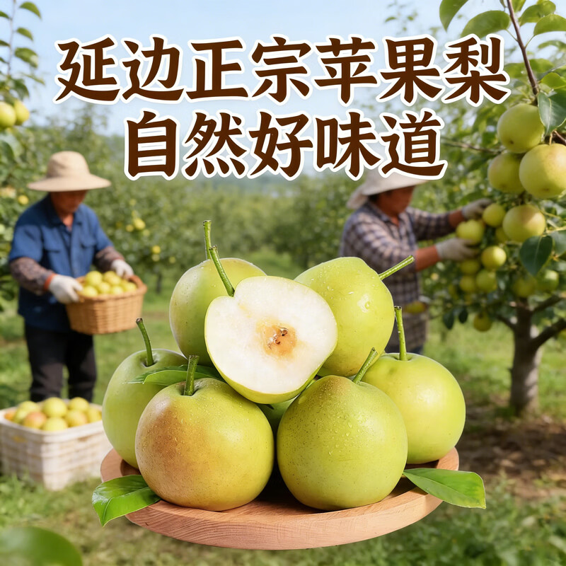 现摘现发一整箱10斤正宗延边苹果梨当季现摘现发皮薄肉厚新鲜 约带箱10斤（净重8.5斤起）