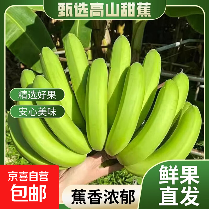 京喜加广西高山香蕉甜蕉当季新鲜水果现摘青皮薄皮香甜整箱孕妇软糯香甜 商超精选【净重5斤】单果100g+
